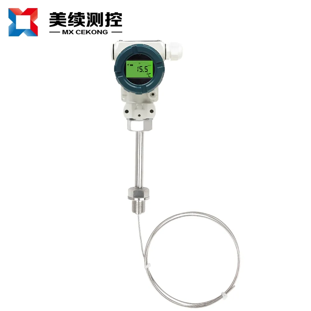新款投入式温度06T