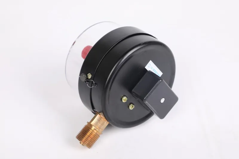 IMGL6255(1) IMGL6255(1)